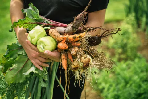 agriculteur avec des légumes en main