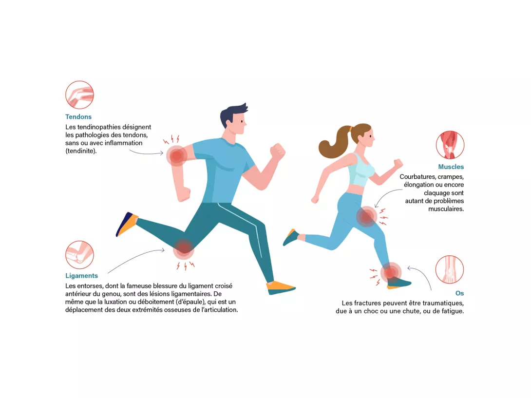 Illustration tendons, ligaments, os et muscles