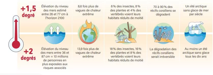 Infographie sur l'impact du réchauffement climatique