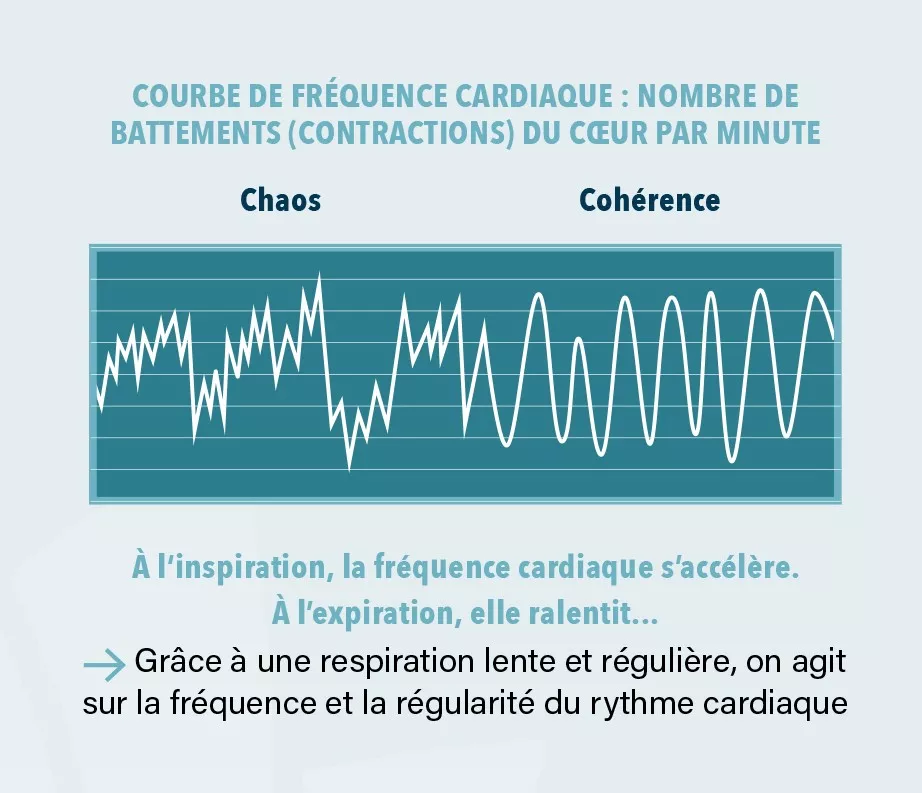 Courbe de fréquence cardiaque en cohérence